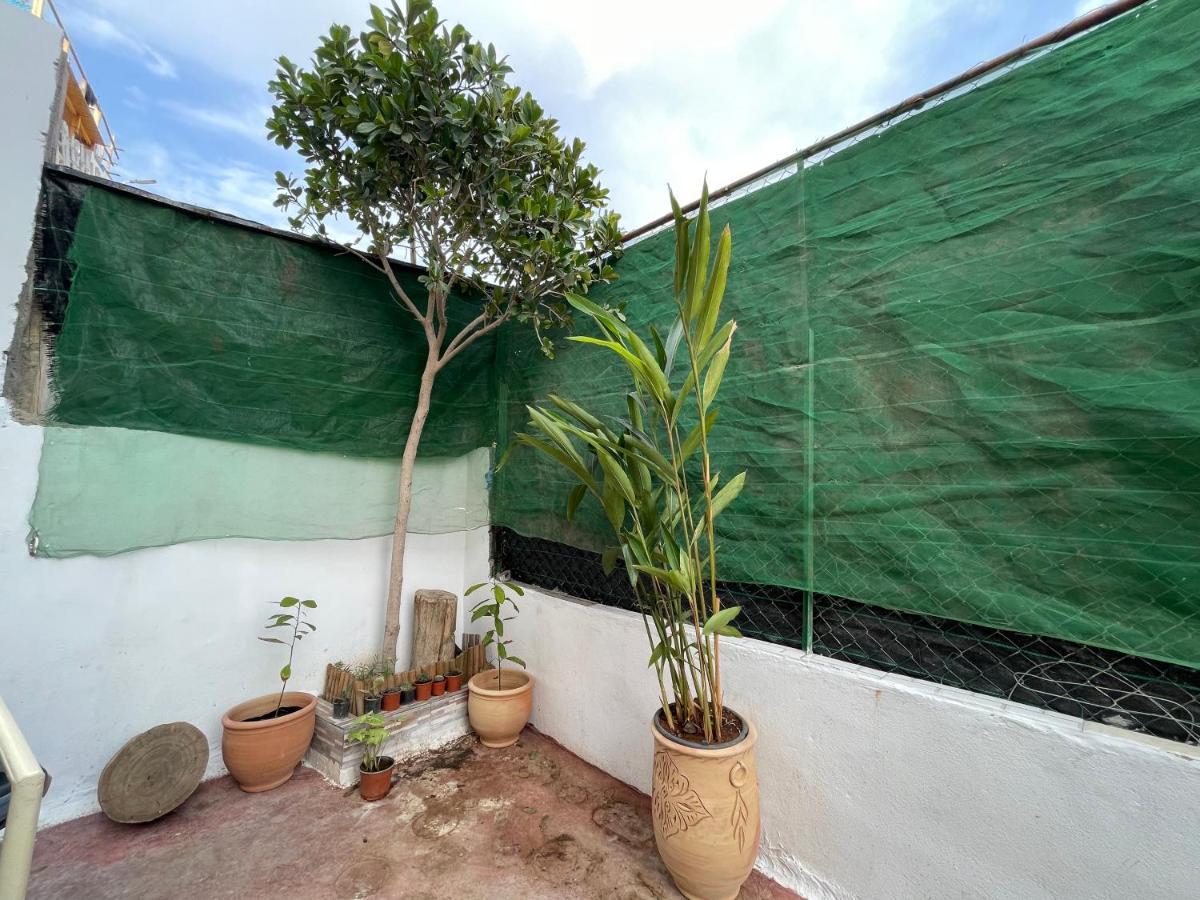 Hostel Jungle Surf House Taghazout Exterior foto