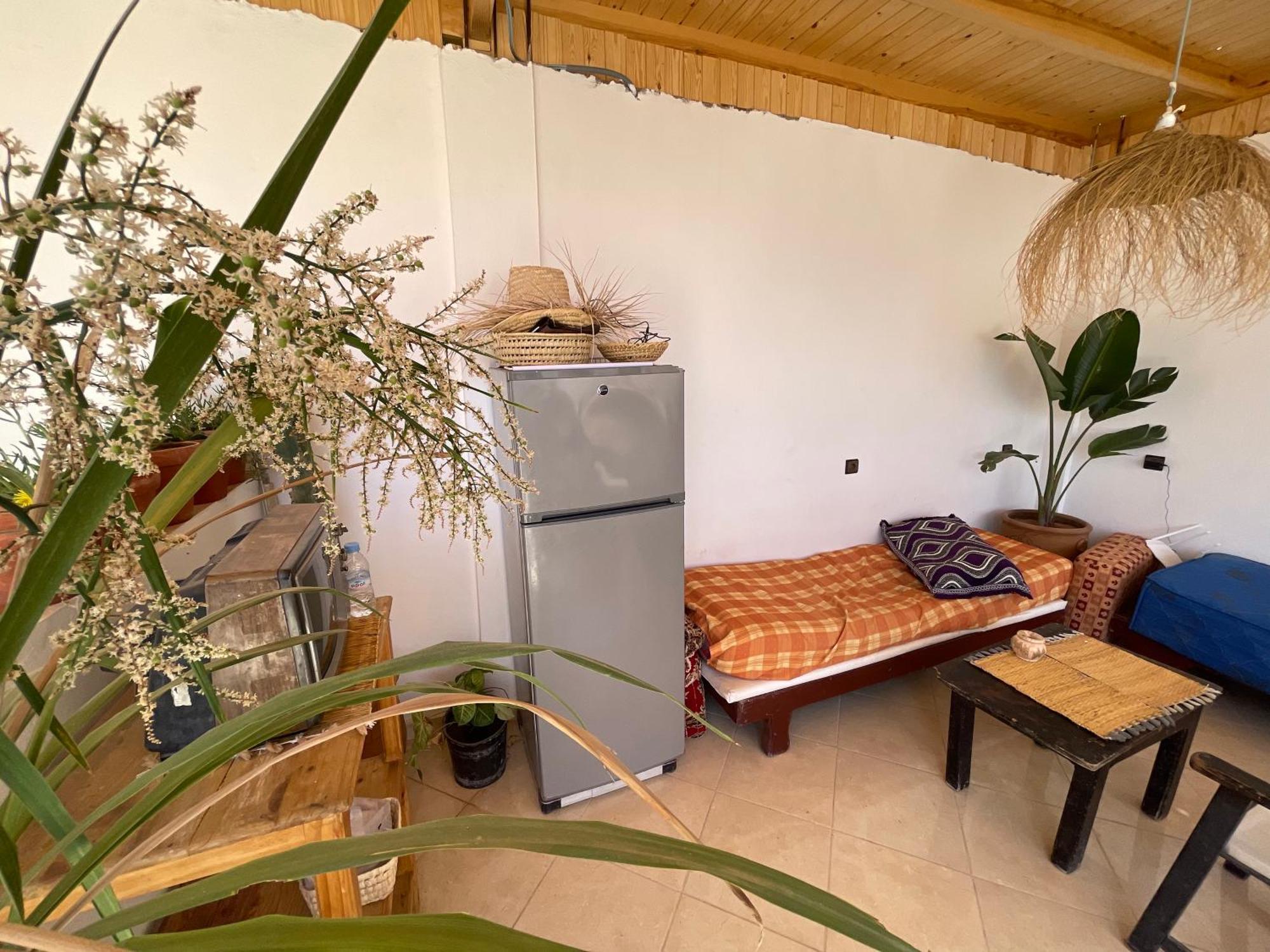 Hostel Jungle Surf House Taghazout Exterior foto